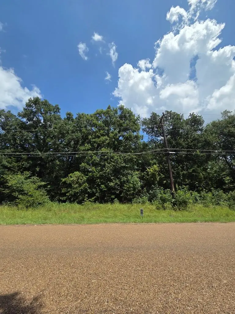 0 Double Bridge Rd, Mabank, TX 75156 - #3