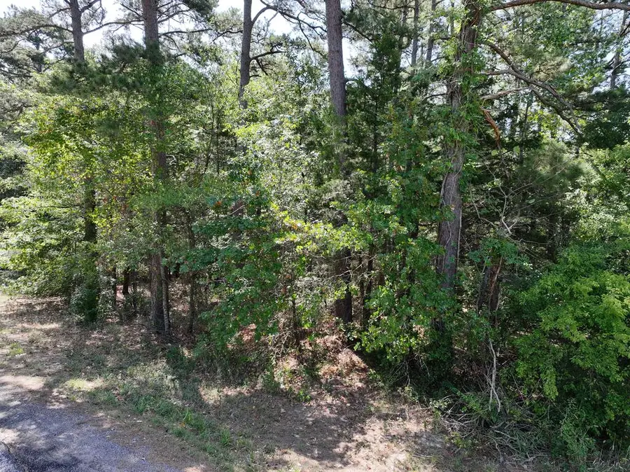 0 W Hwy 154, Big Sandy, TX 75755 - #2