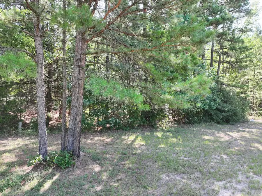 0 W Hwy 154, Big Sandy, TX 75755 - #3