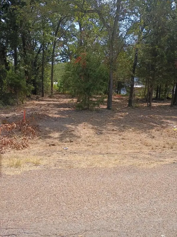 110 Lake Creek, Mabank, TX 75156