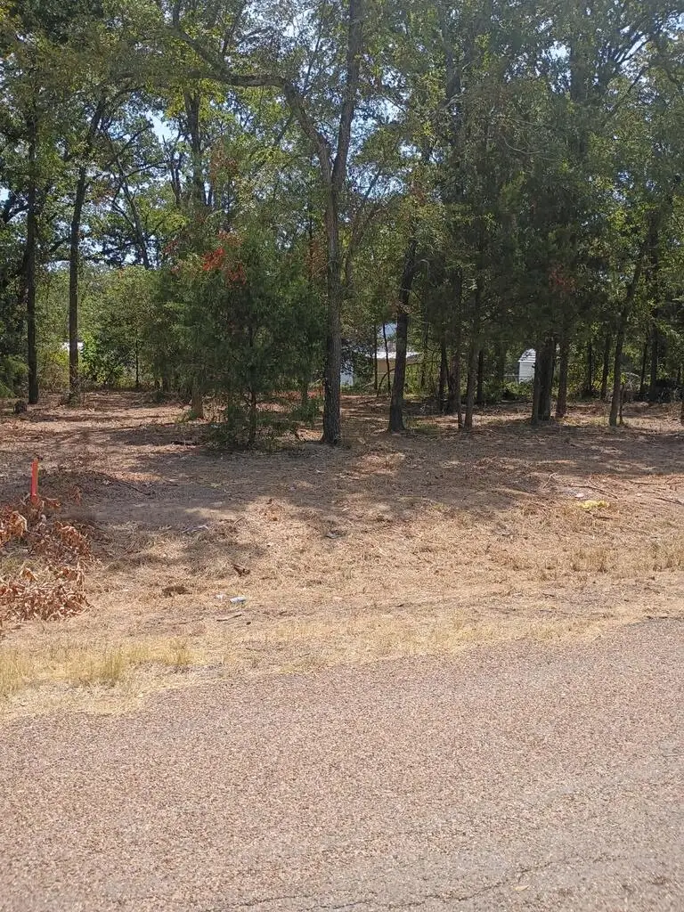 110 Lake Creek, Mabank, TX 75156 - #2