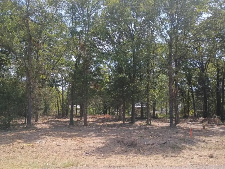 110 Lake Creek, Mabank, TX 75156 - #3