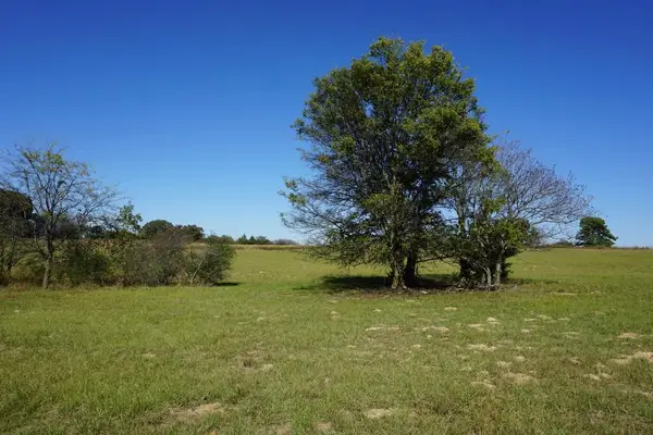 4301 Plainview Dr, Naples, TX 75568