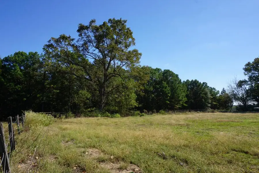 4301 Plainview Dr, Naples, TX 75568 - #2