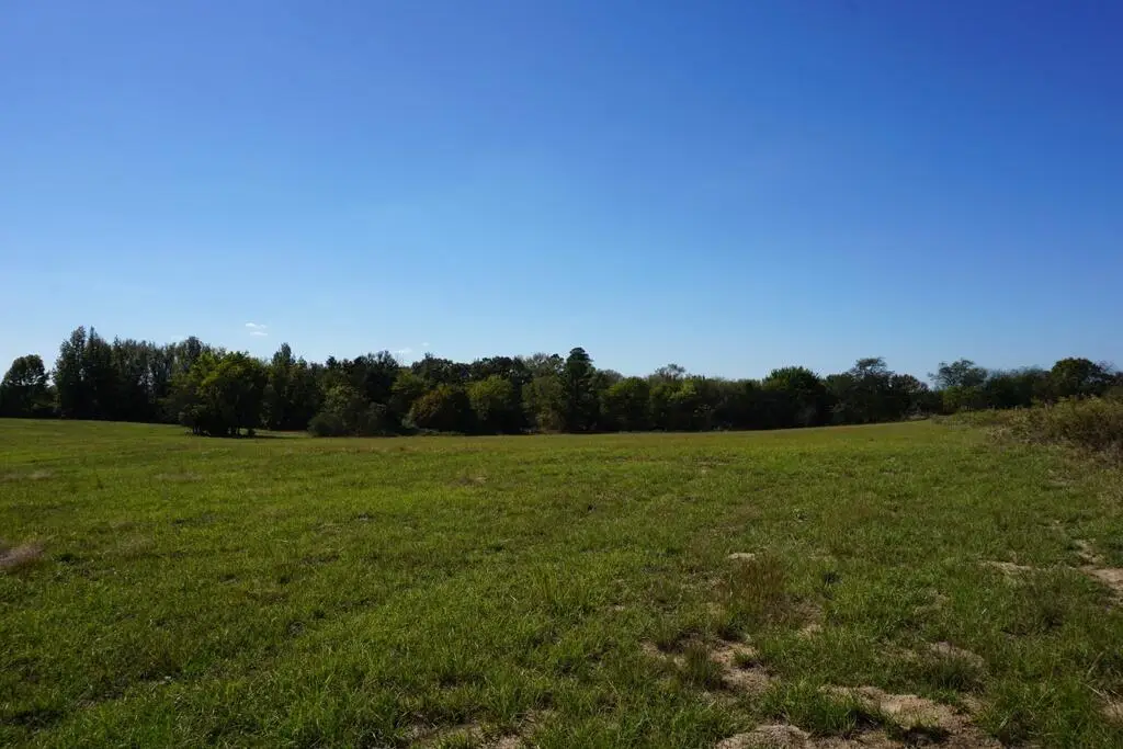 cr4301 Plainview Dr, Naples, TX 75568 - #1