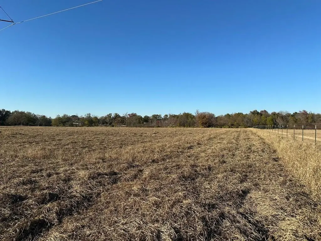 TBD Pr 5107, Athens, TX 75752 - #1