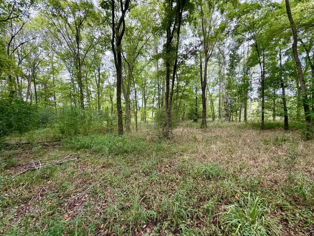 Lot 338 Grand View Dr, Athens, TX 75752 - #1