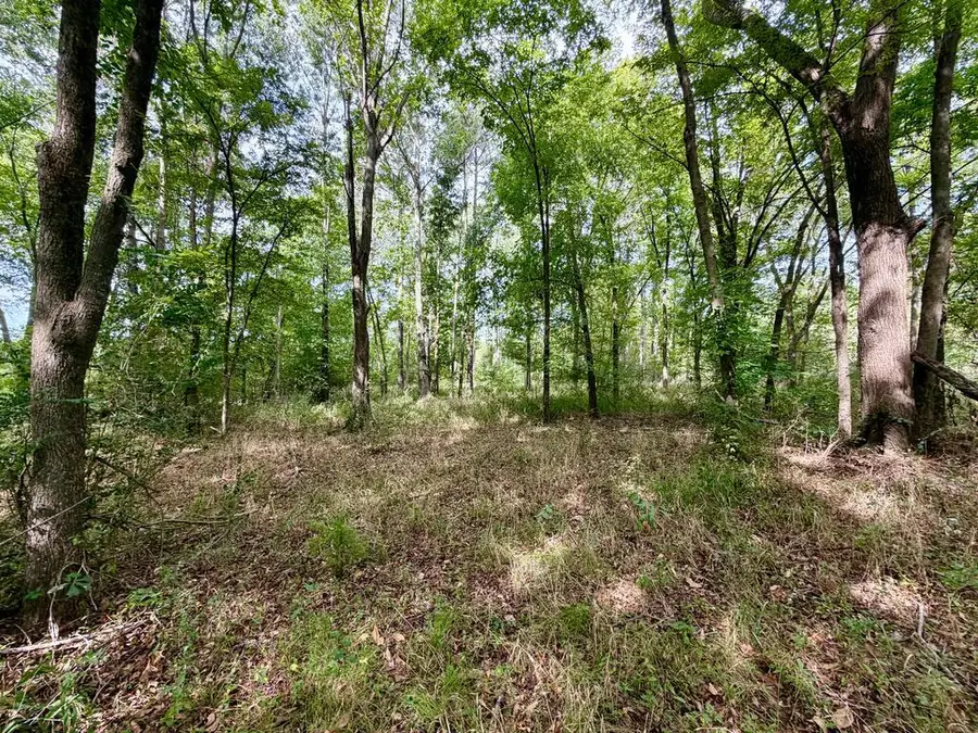 Lot 338 Grand View Dr, Athens, TX 75752 - #2