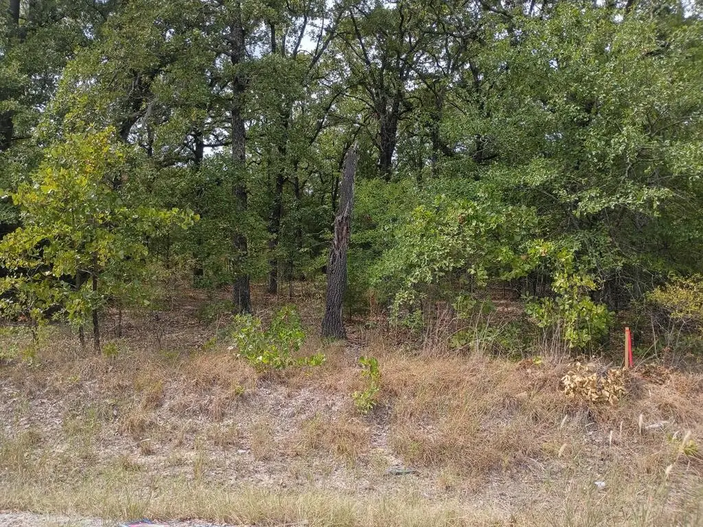126 Rising Star, Mabank, TX 75156 - #1