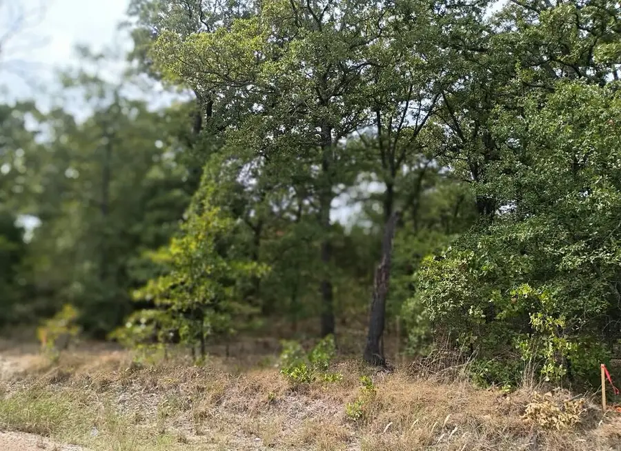 126 Rising Star, Mabank, TX 75156 - #2