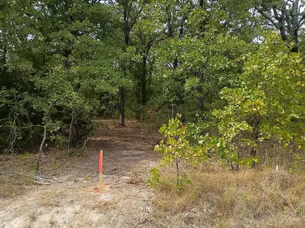 124 Rising Star, Mabank, TX 75156