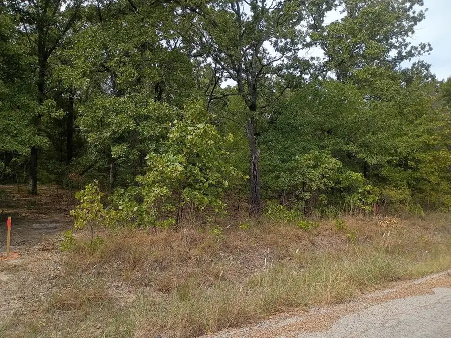 124 Rising Star, Mabank, TX 75156 - #2