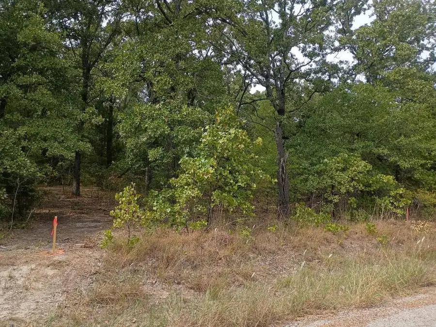 124 Rising Star, Mabank, TX 75156 - #3
