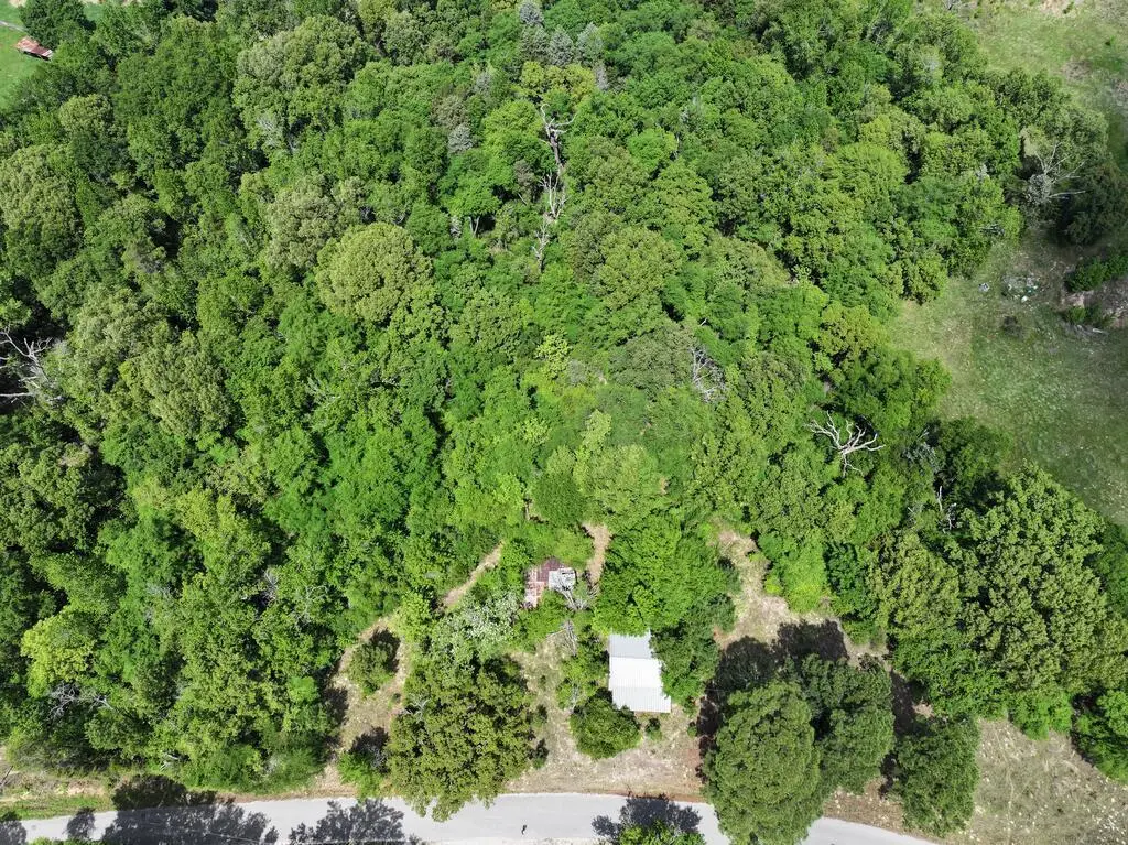 TBD Cr 4600, Athens, TX 75752 - #1