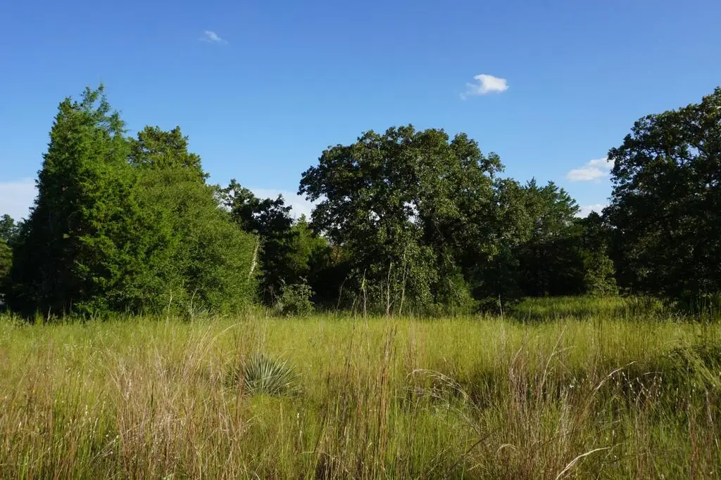 12641 Pr 5104, Cedar Creek Lake, TX 75751 - #1
