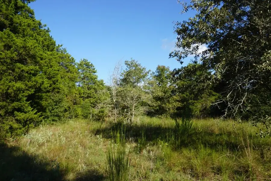 12641 Pr 5104, Cedar Creek Lake, TX 75751 - #3
