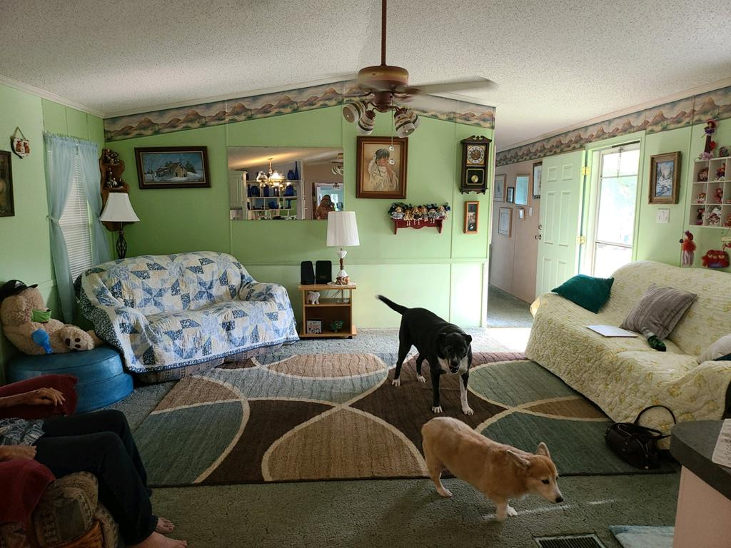 421 Bush St, Seven Points, TX 75143 - Image #1