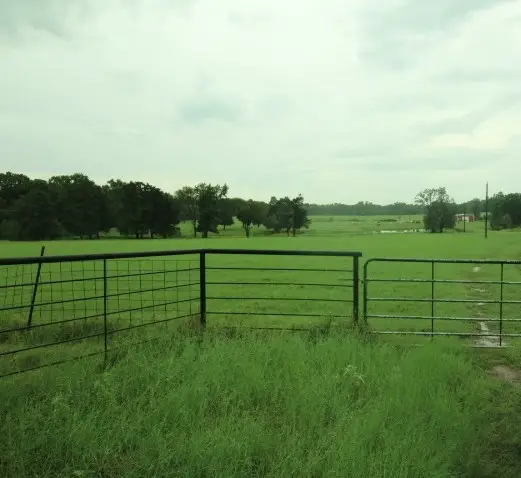 0 Cr 3711, Athens, TX 75752 - Image #3