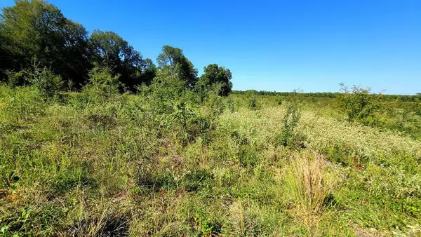 Lot 40 Cr 4612, Sulphur Springs, TX 75482
