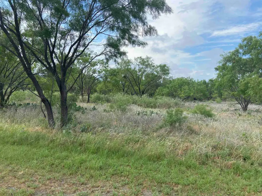 Lot 22 Lone Oak Drive, Kingsland, TX 78639-9999 - Image #2
