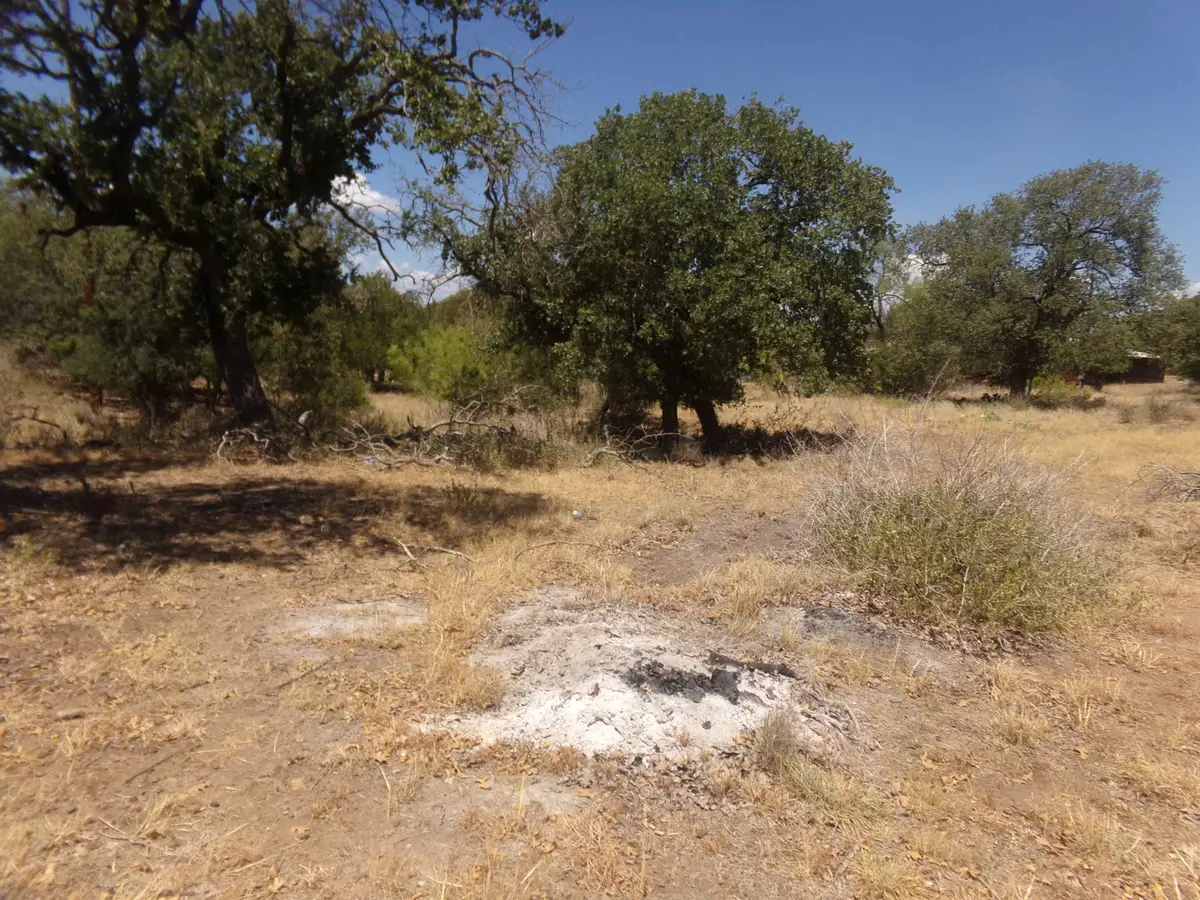 lot 140 Pine Lane, Cottonwood Shores, TX 78657-9441 - Image #1