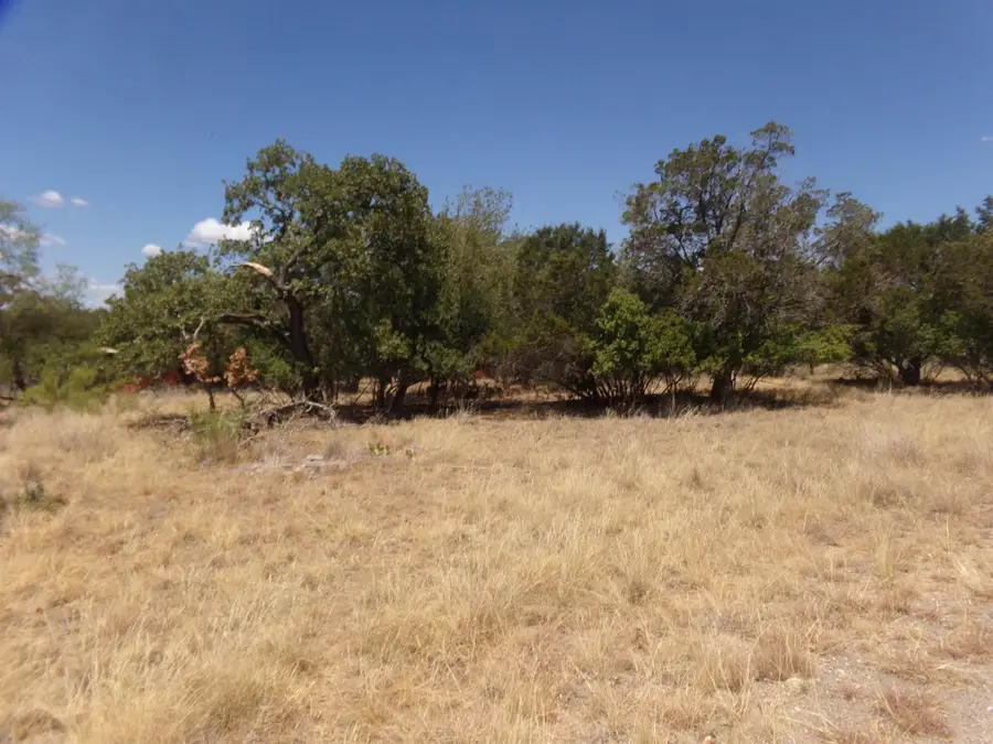 lot 141 Pine, Cottonwood Shores, TX 78657-9441 - Image #2