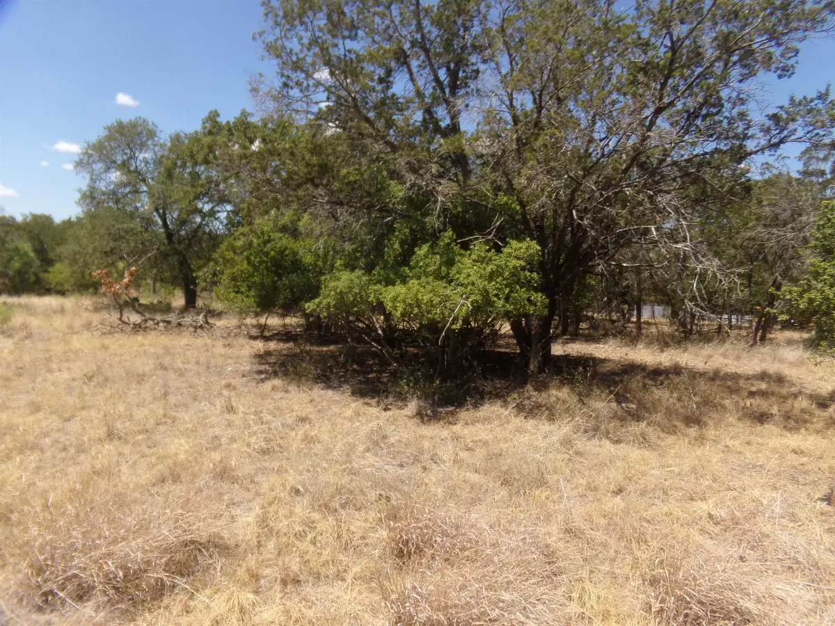 LOT 142 Pine, Cottonwood Shores, TX 78657-9441 - Image #1