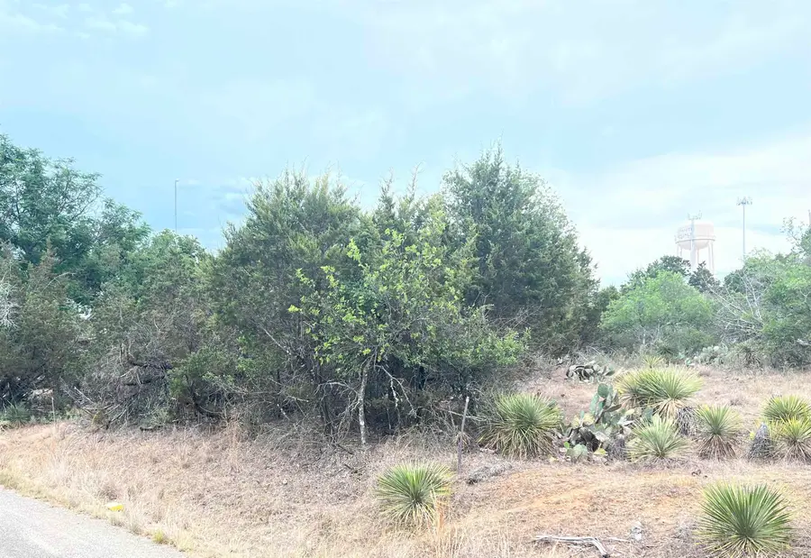 Lot 283 & 284 W Briarway Drive, Granite Shoals, TX 78654 - Image #2