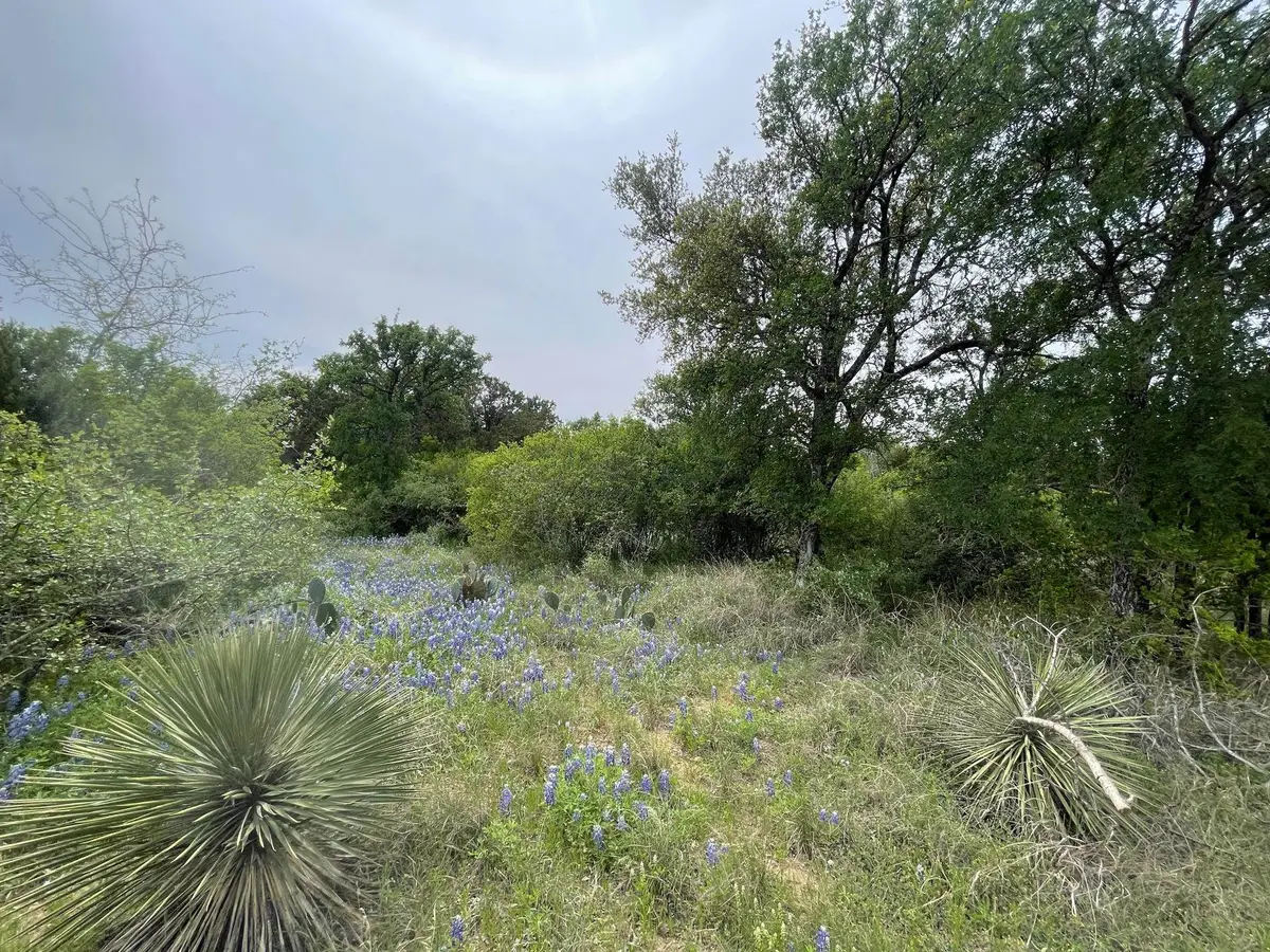 Lots 175 & 176 Hill Wood, Granite Shoals, TX 78654 - Image #1