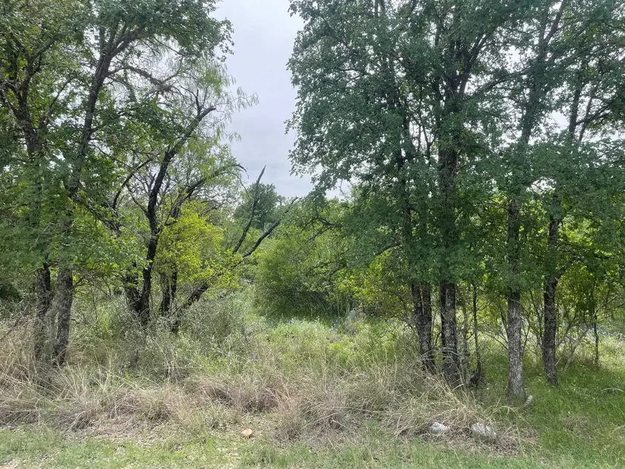 Lots 175 & 176 Hill Wood, Granite Shoals, TX 78654 - Image #3