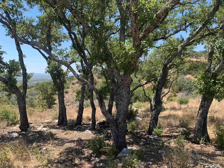 Lot 21 Southview Ct, Kingsland, TX 78639 - Image #3