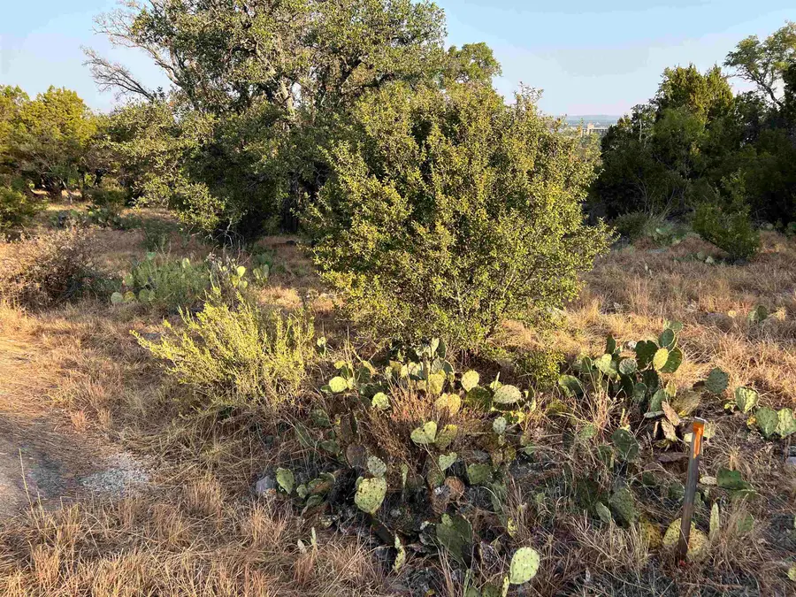 Lot 45047 Long Branch, Horseshoe Bay, TX 78657 - Image #3