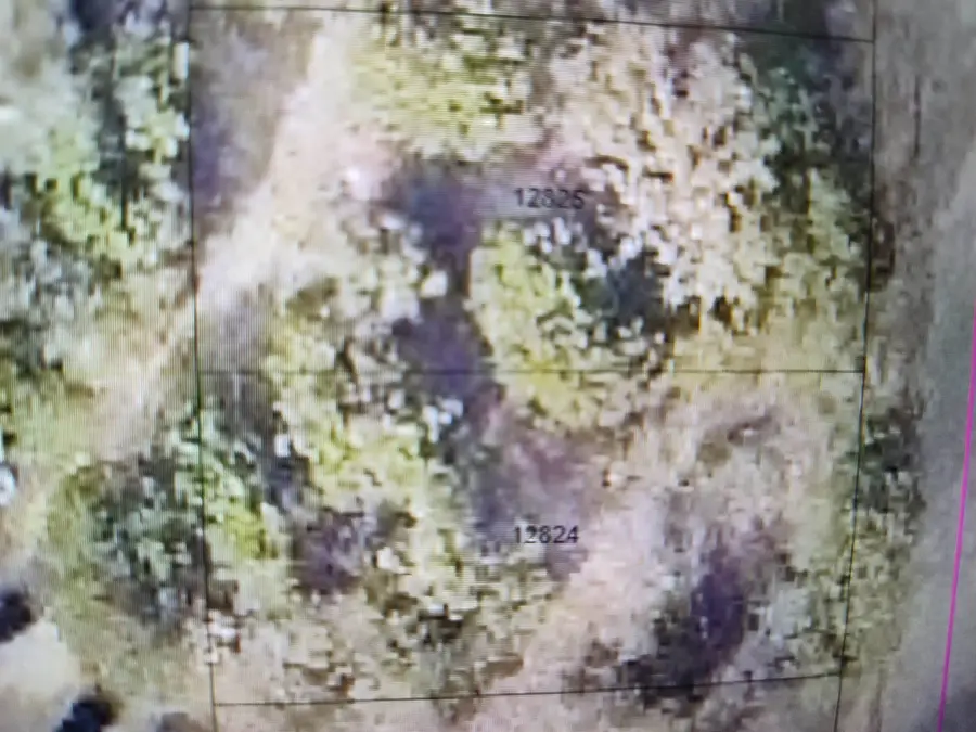 746 Magnolia Ln Lane, Cottonwood Shores, TX 78657-9456 - Image #2