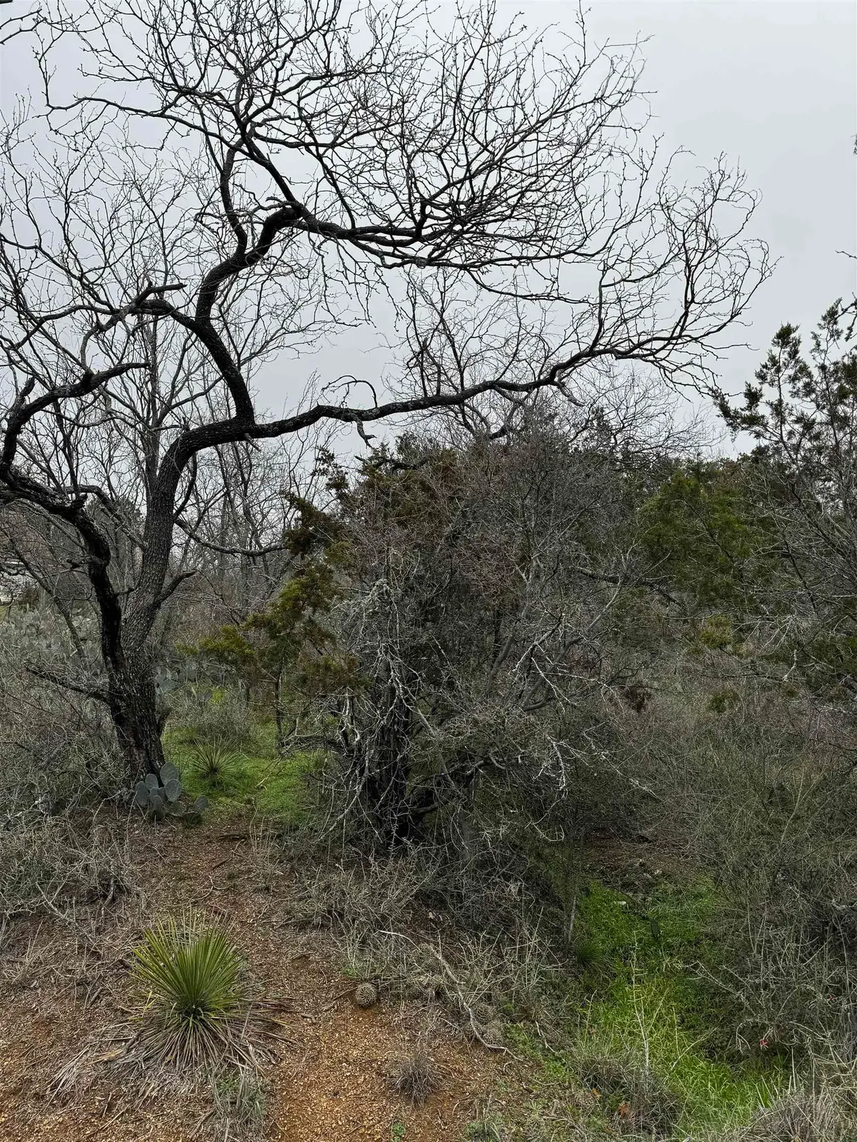 Lot 424 Castlewood Drive, Granite Shoals, TX 78654 - Image #1