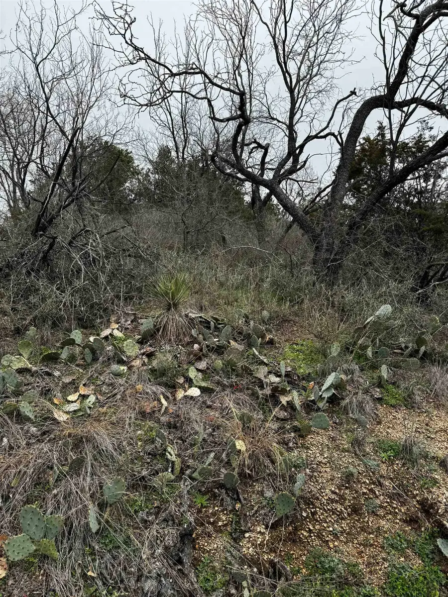 Lot 424 Castlewood Drive, Granite Shoals, TX 78654 - Image #2