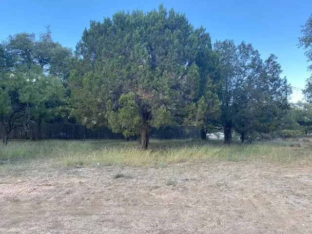 212 Cactus Corner, Horseshoe Bay, TX 78657 - Image #2