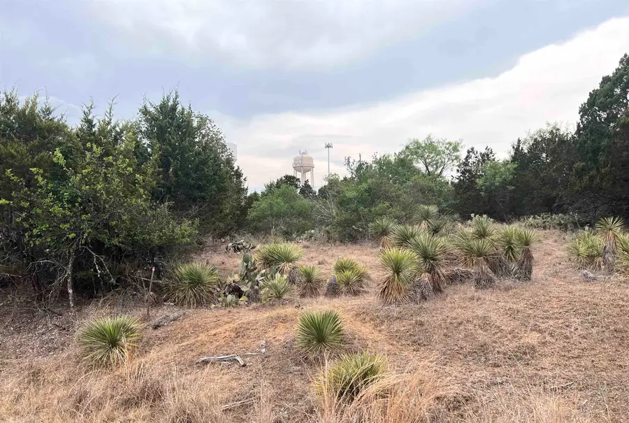 Lot 281 & 282 W Briarway Drive, Granite Shoals, TX 78654 - Image #3