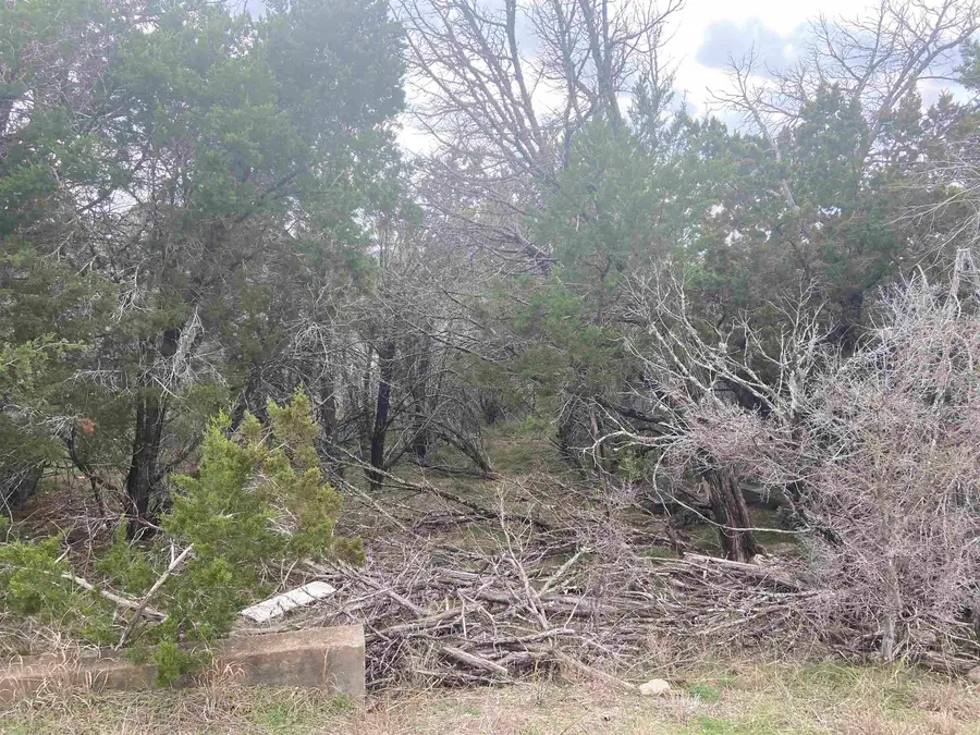 TBD Dew Drop, Horseshoe Bay, TX 78657-9999 - Image #3