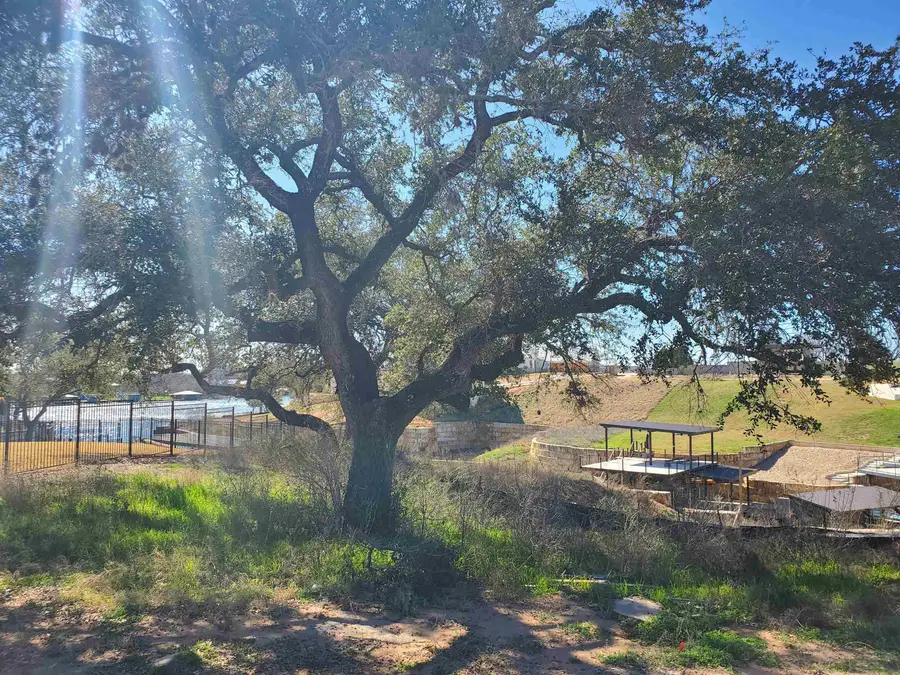Lot 8 Legendary Estates Drive, Kingsland, TX 78639 - Image #2