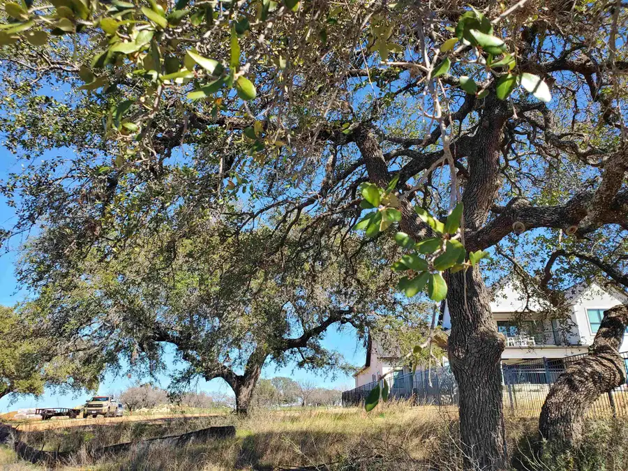 Lot 8 Legendary Estates Drive, Kingsland, TX 78639 - Image #3