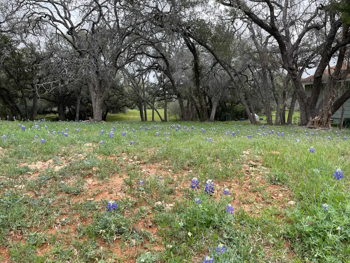 Lot 155 Wanta-hide-away Way, Spicewood, TX 78669-0155 - #1
