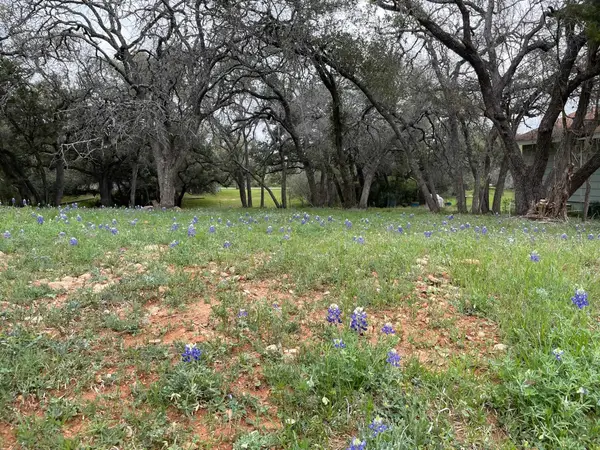 Lot 155 Wanta-hide-away Way, Spicewood, TX 78669-0155