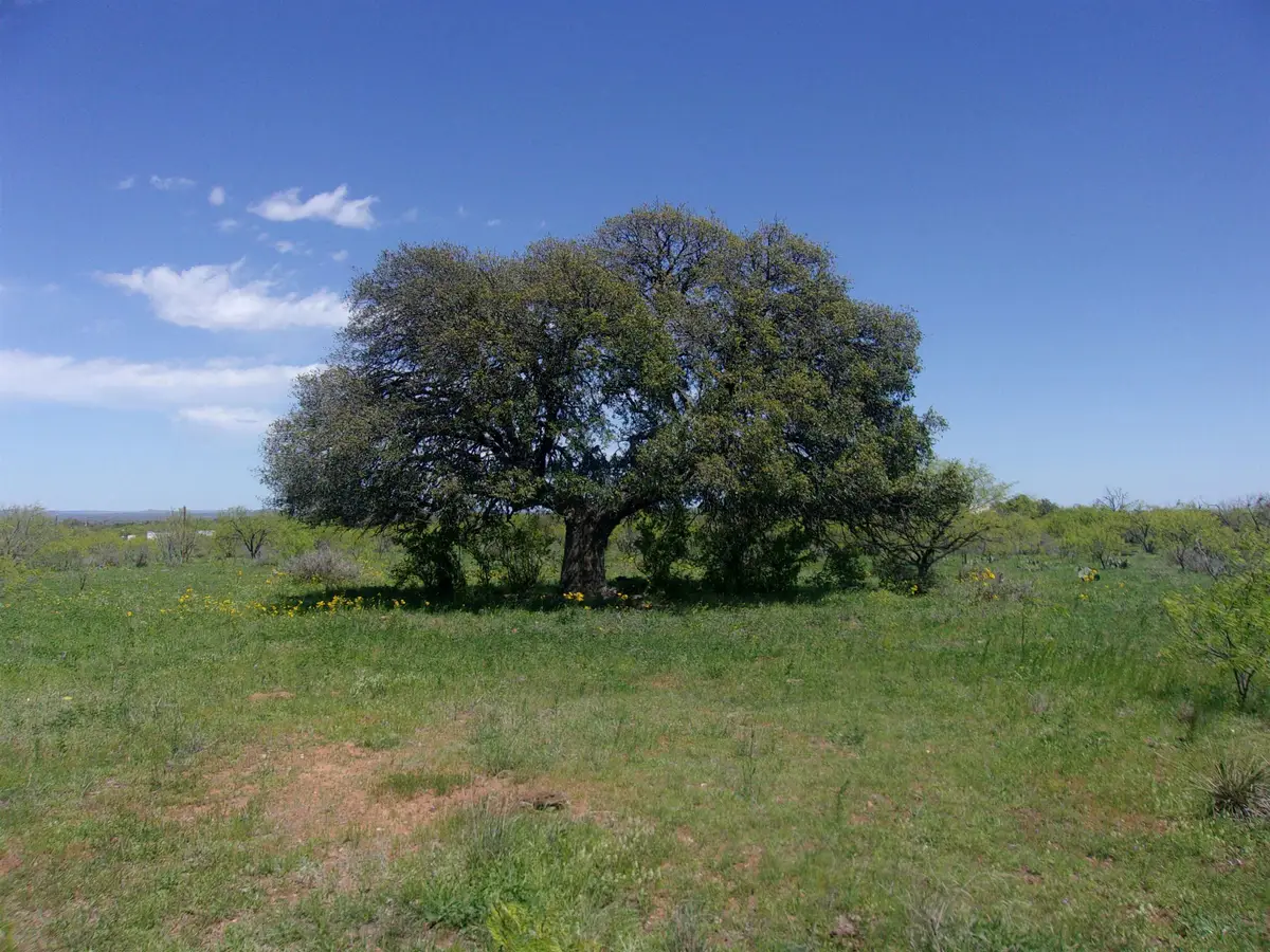 2698 Cr 105, Llano South, TX 78643 - Image #1