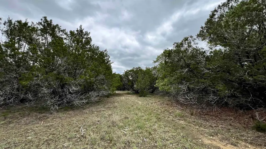 Lot 12 Grace Lane, Bertram, TX 78605 - Image #3