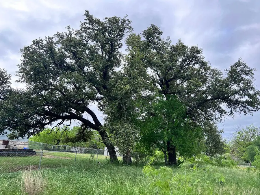 oo E Navarro Street, Llano, TX 78643 - Image #3