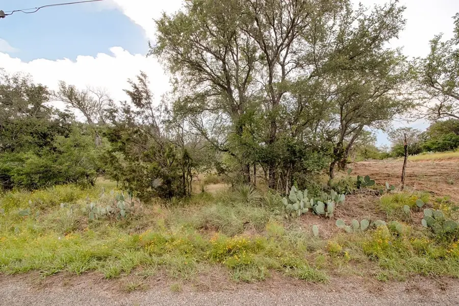 Lot 479 W Castleberry Drive, Granite Shoals, TX 78654 - Image #2