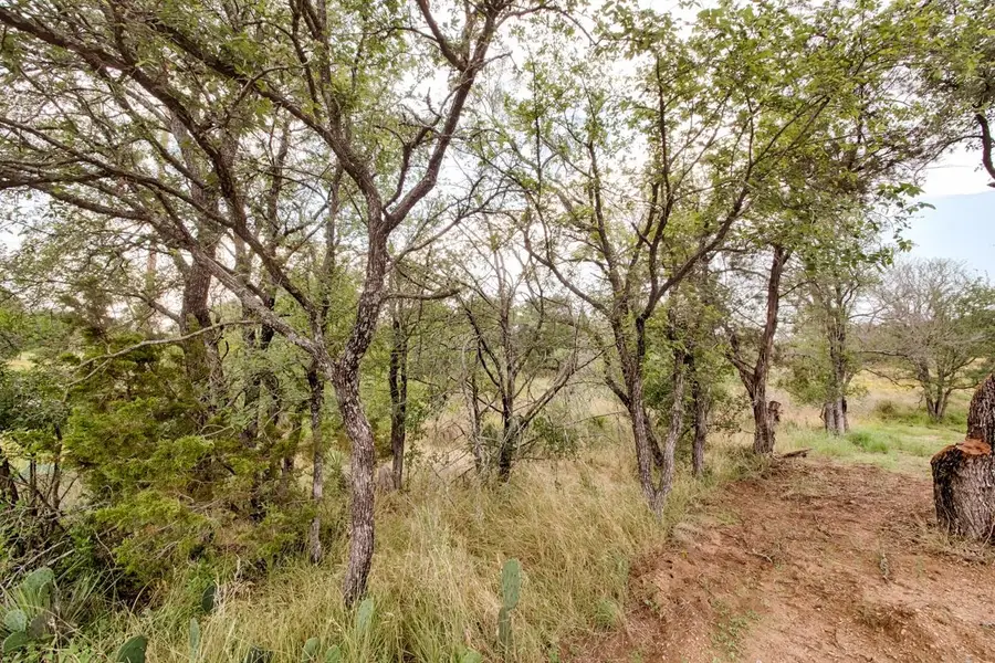 Lot 479 W Castleberry Drive, Granite Shoals, TX 78654 - Image #3