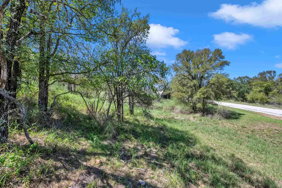 Lot 166 &167 Mountain View Drive, Kingsland, TX 78639 - Image #2