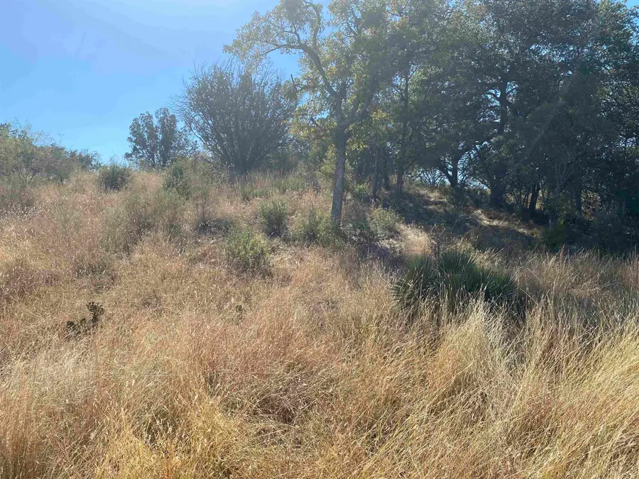 TBD Florence Drive, Horseshoe Bay, TX 78657 - Image #2
