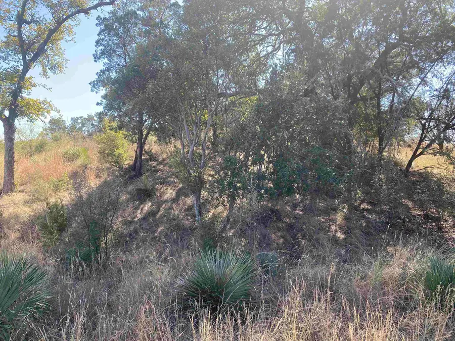 TBD Florence Drive, Horseshoe Bay, TX 78657 - Image #3